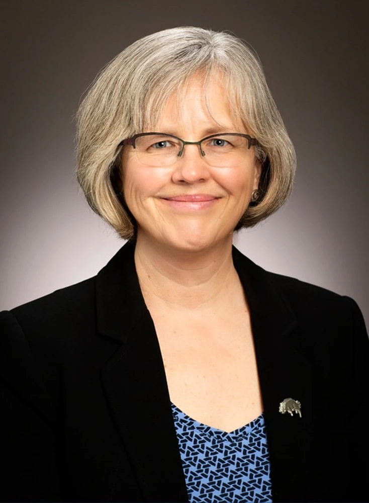 Kristin Hoganson