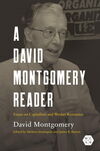 david montgomery